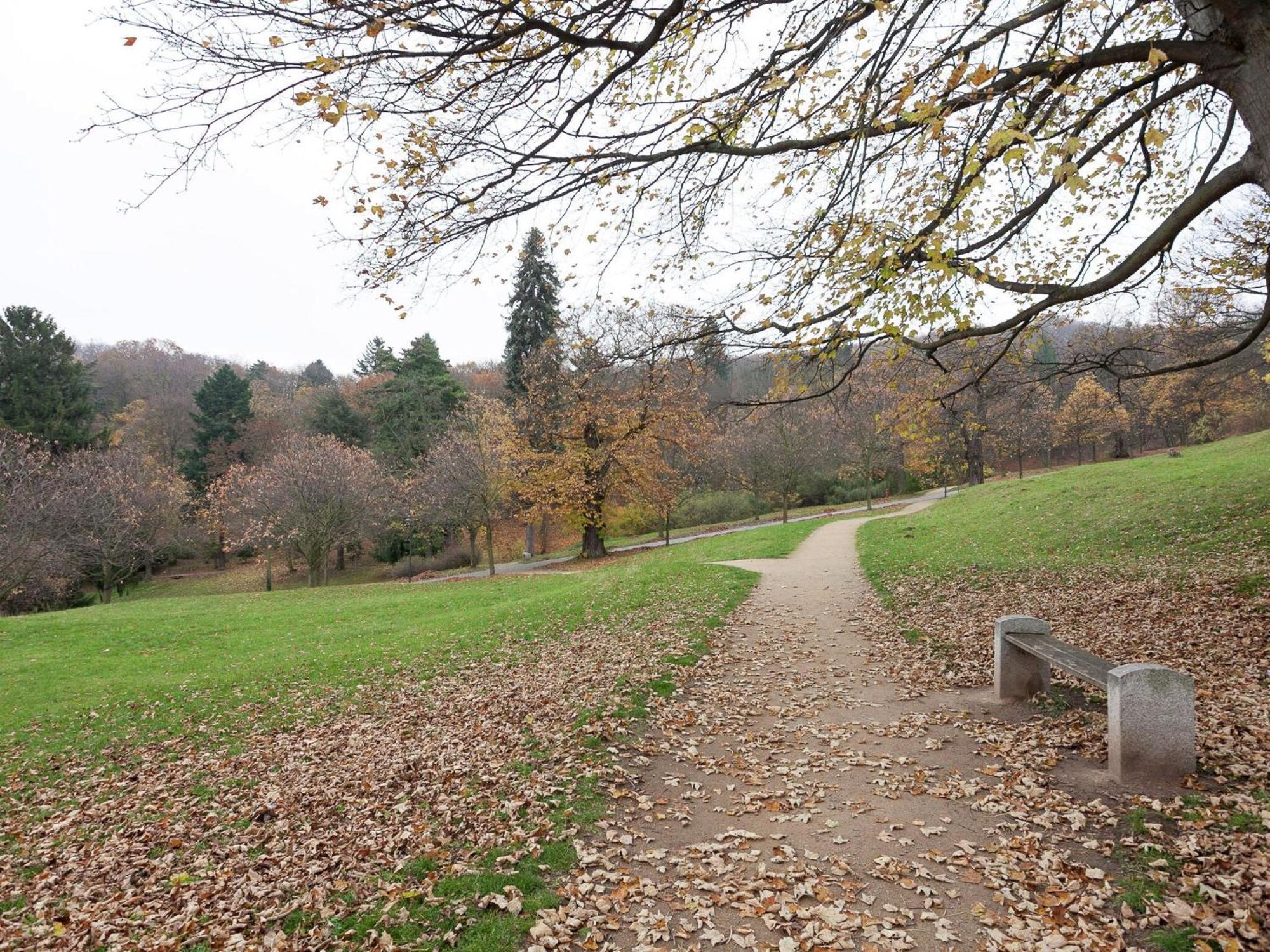 Beautiful Apartment In D Rnthal Near The Forest Voigtsdorf Dış mekan fotoğraf